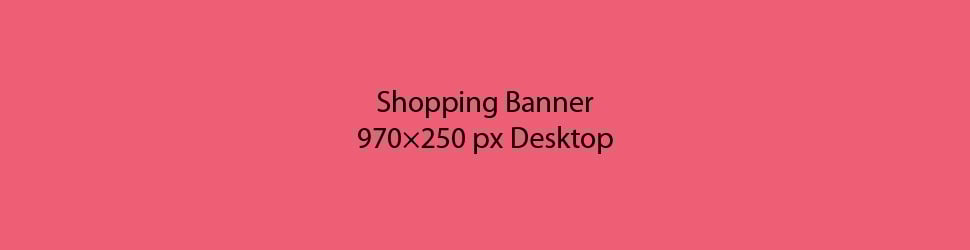 AfterDrive_Shopping Banner-970×250 px Desktop