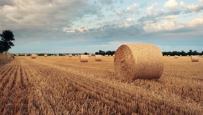 Agri Market in Transformation: Technology Beyond the Field